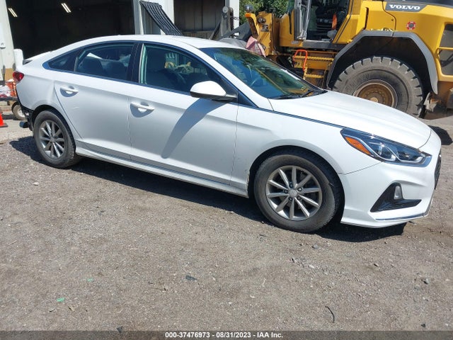 Hyundai SONATA SE 2019 5NPE24AF6KH785673 Image 13