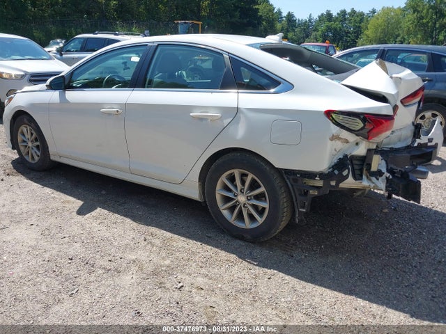 Hyundai SONATA SE 2019 5NPE24AF6KH785673 Image 14