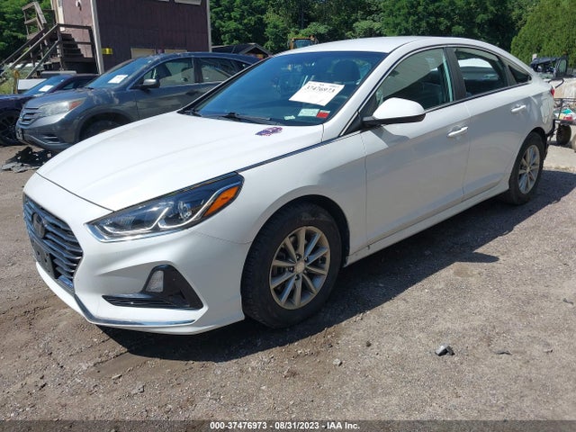 Hyundai SONATA SE 2019 5NPE24AF6KH785673 Image 2