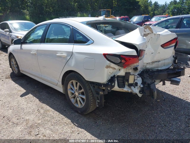 Hyundai SONATA SE 2019 5NPE24AF6KH785673 Image 3