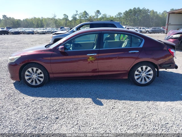 Honda Accord Sedan Ex-l 2014 1HGCR2F80EA233441 Image 14