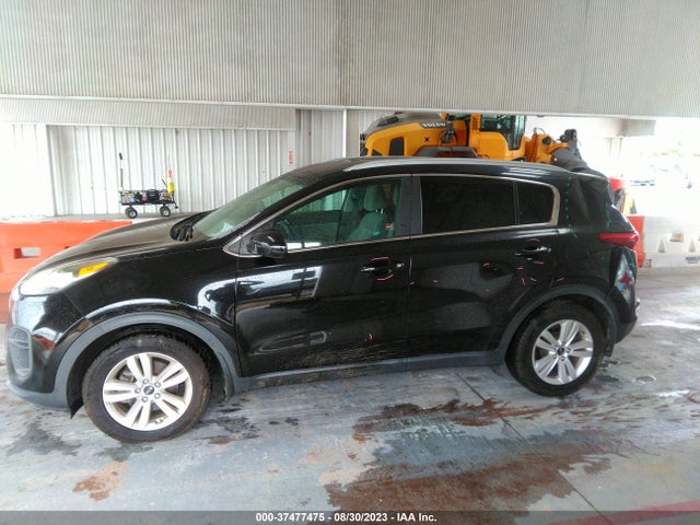 2017 KIA SPORTAGE LX VIN: KNDPM3AC4H7224727