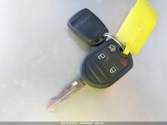 1ZVBP8FFXE5333134 Ford MUSTANG GT