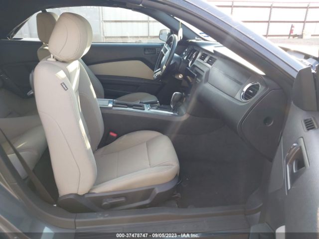 1ZVBP8FFXE5333134 Ford MUSTANG GT