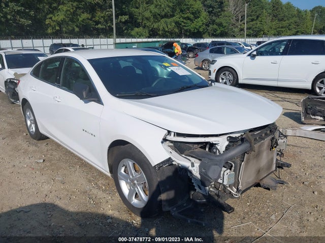 2019 1G1ZB5ST8KF223398 main image
