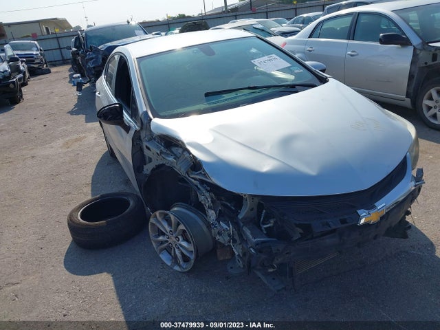 2019 1G1BE5SM6K7145229 main image