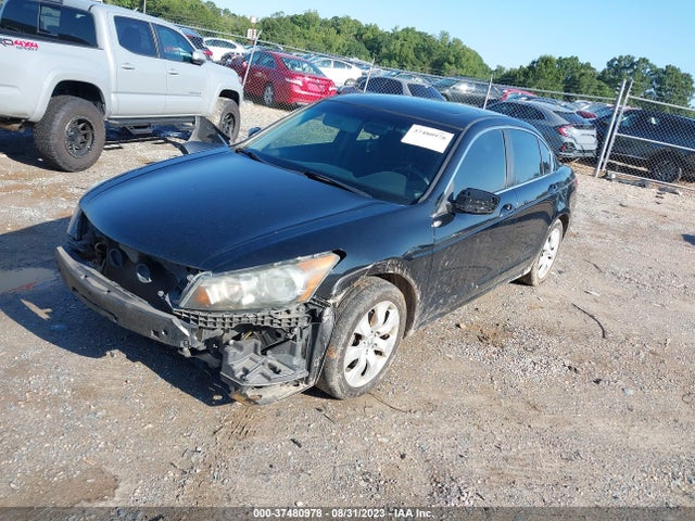 2010 HONDA ACCORD SDN EX VIN: 1HGCP2F7XAA069736