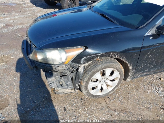 2010 HONDA ACCORD SDN EX VIN: 1HGCP2F7XAA069736