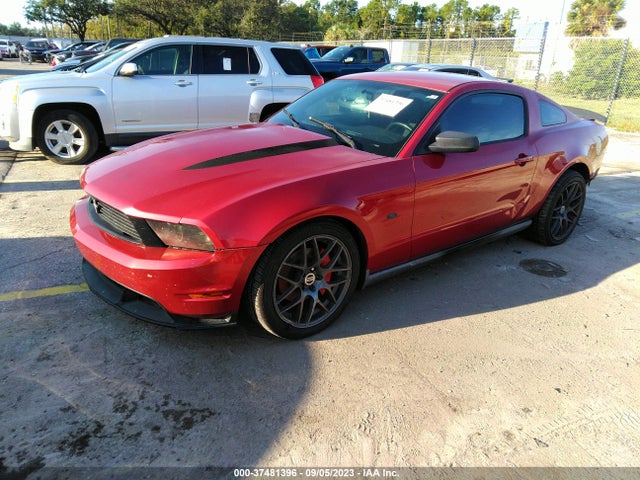 2011 FORD MUSTANG V6 VIN: 1ZVBP8AM8B5118921
