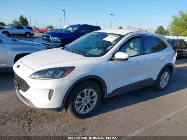 1FMCU9G66LUA84057 Ford ESCAPE SE