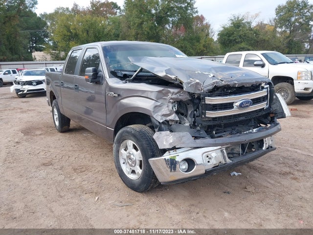 2014 1FTEW1CM4EKD71294 главное изображение