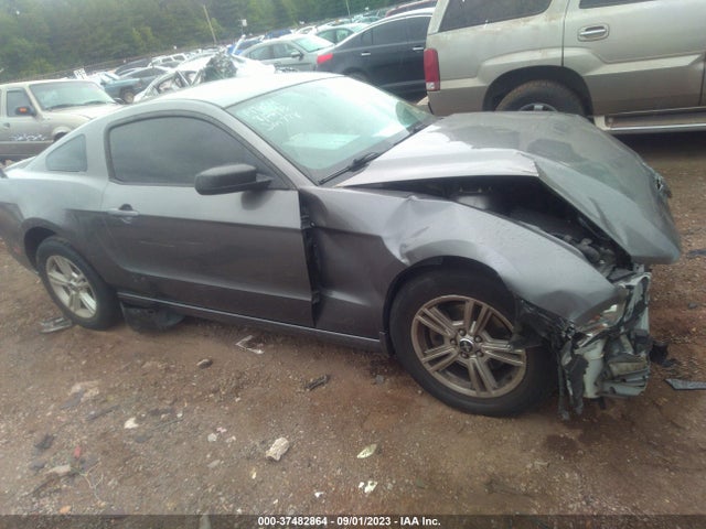 2014 FORD MUSTANG V6 VIN: 1ZVBP8AM7E5282519