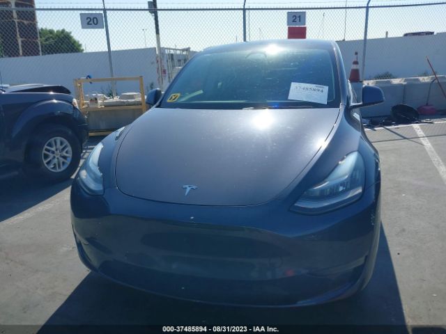 5YJYGDEE6MF183146 Tesla Model Y Long Range