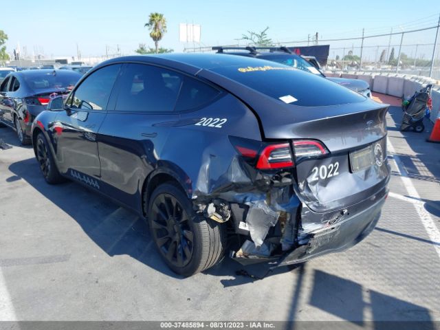 5YJYGDEE6MF183146 Tesla Model Y Long Range