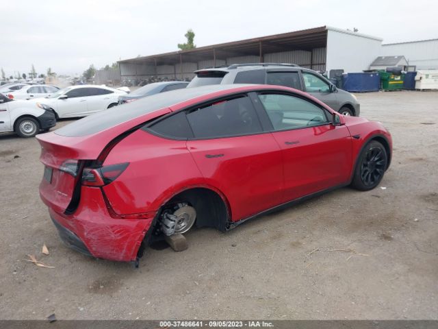 5YJYGDEE0MF217811 Tesla Model Y Long Range