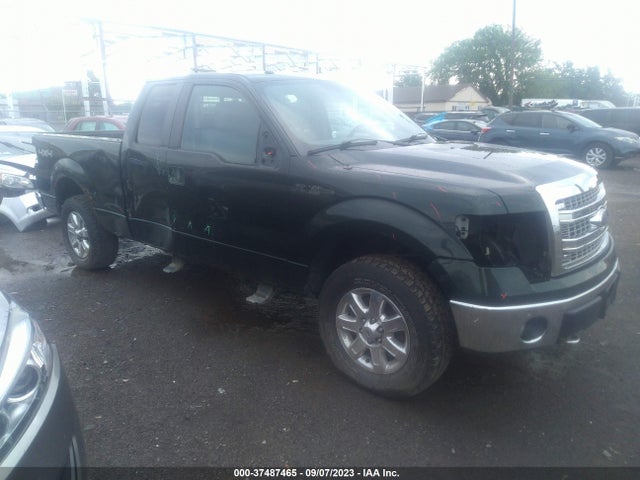 2013 FORD F-150 XLT VIN: 1FTFX1EF1DKG43525
