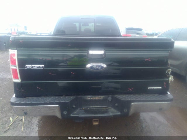 2013 FORD F-150 XLT VIN: 1FTFX1EF1DKG43525