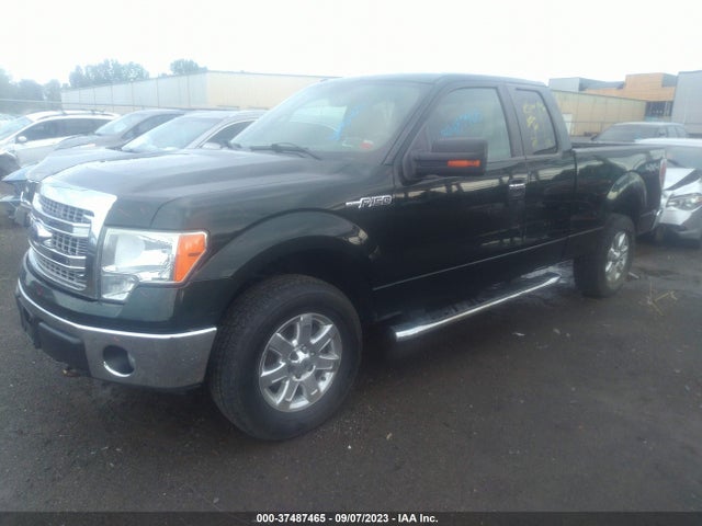 2013 FORD F-150 XLT VIN: 1FTFX1EF1DKG43525