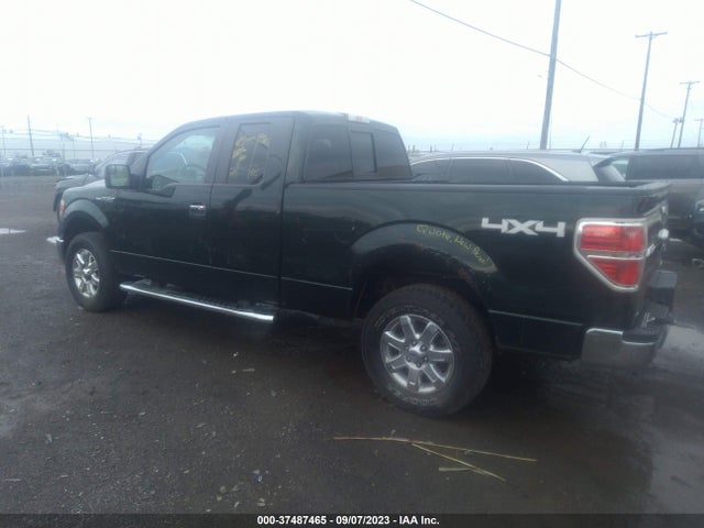 2013 FORD F-150 XLT VIN: 1FTFX1EF1DKG43525
