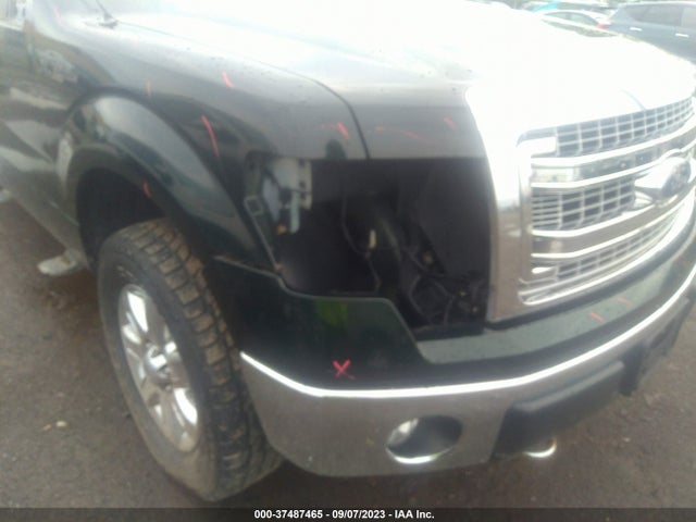 2013 FORD F-150 XLT VIN: 1FTFX1EF1DKG43525