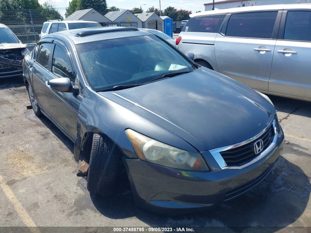 2010 HONDA ACCORD SDN EX VIN: 1HGCP2F75AA187435