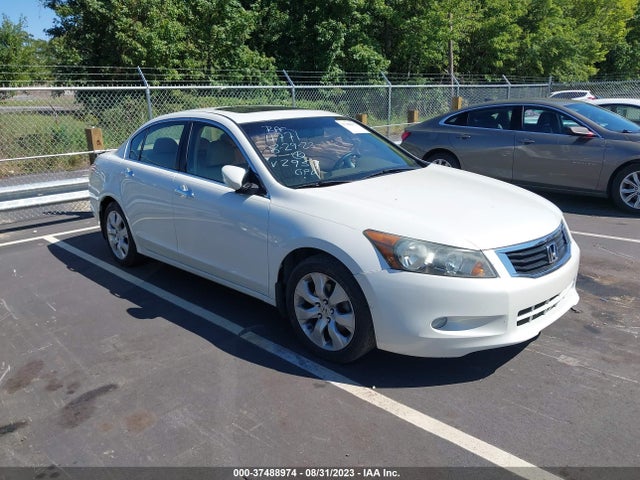 2010 HONDA ACCORD SDN EX-L VIN: 5KBCP3F81AB012959