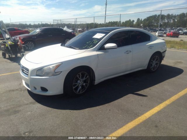 1N4AA5AP3EC910814 Nissan Maxima 3.5 Sv W/premium Pkg