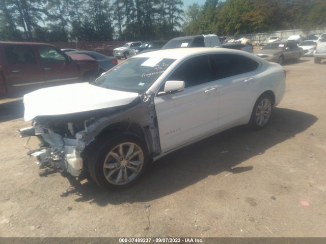 Chevrolet IMPALA LT 2019 2G11Z5S35K9155515 Image 2