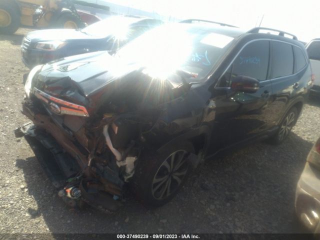 JF2SKASC8LH435551 Subaru Forester Limited