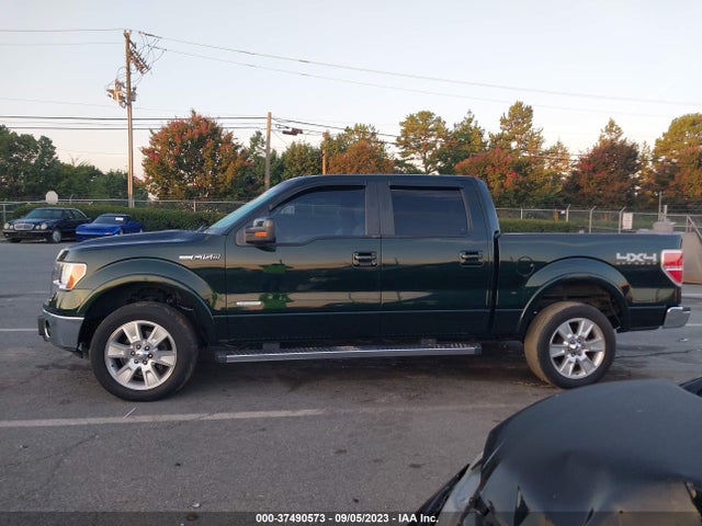 2013 FORD F-150 XL/XLT/FX4/LARIAT VIN: 1FTFW1ET8DFA64694
