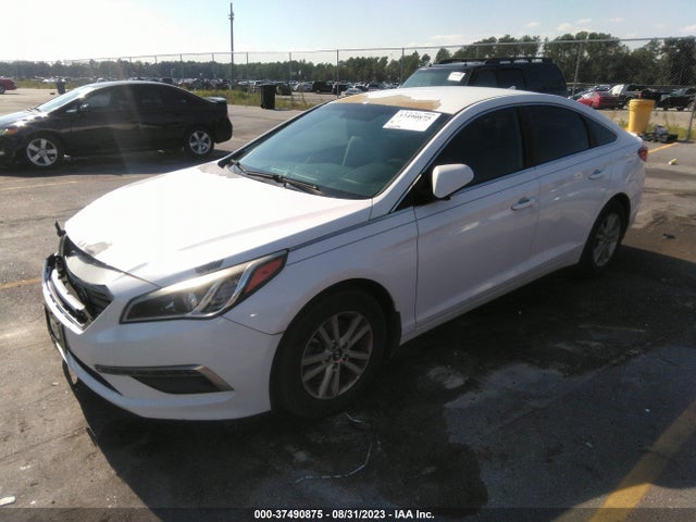 2015 HYUNDAI SONATA 2.4L SE VIN: 5NPE24AF3FH243243
