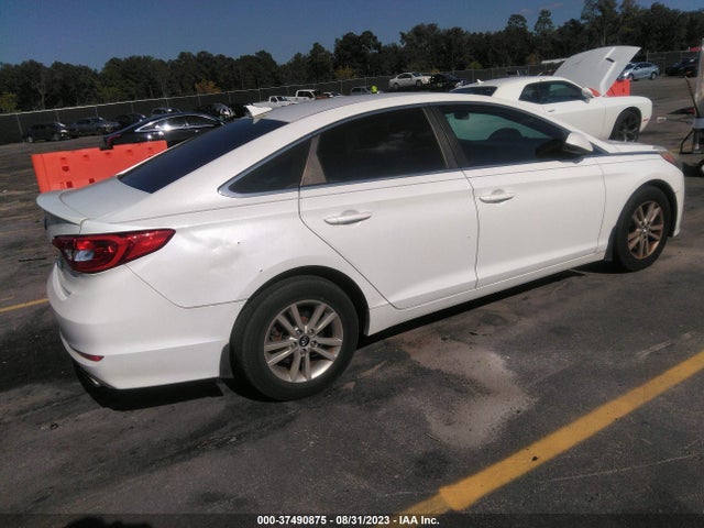 2015 HYUNDAI SONATA 2.4L SE VIN: 5NPE24AF3FH243243