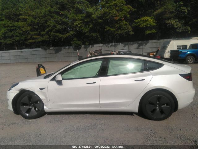 5YJ3E1EAXPF432774 Tesla MODEL 3