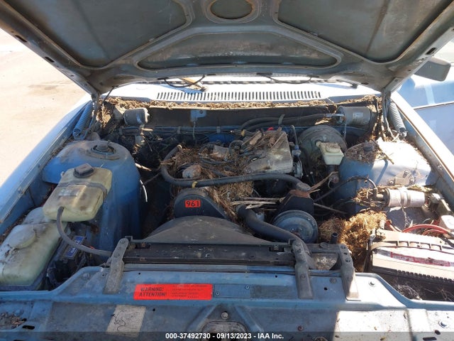 1982 VOLVO 245 DL/GL VIN: YV1AX4956C1423261