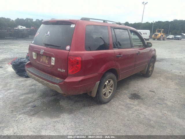 2005 HONDA PILOT EX-L VIN: 5FNYF18555B066172