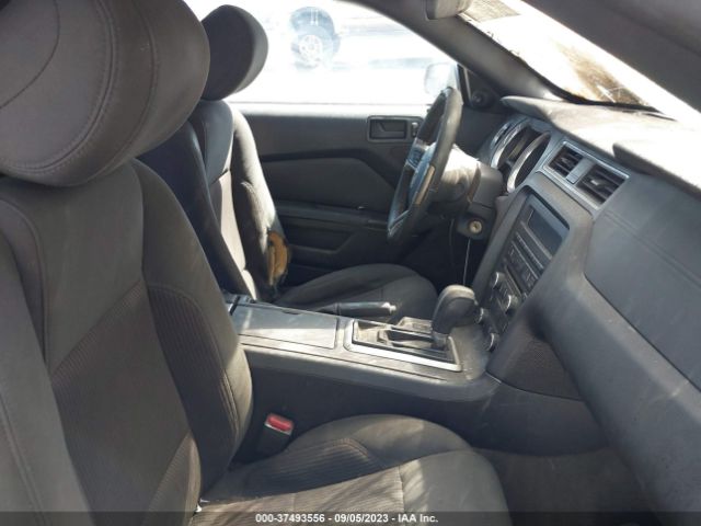 1ZVBP8EM0E5208563 Ford Mustang V6