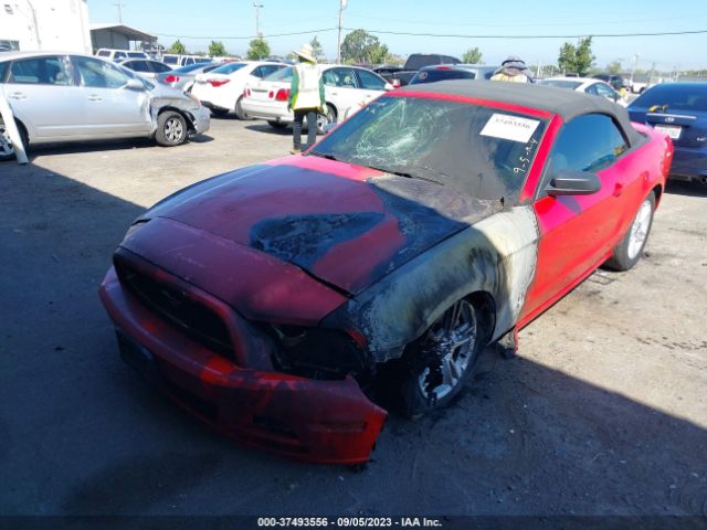 1ZVBP8EM0E5208563 Ford Mustang V6