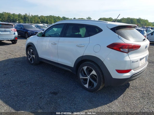 Hyundai Tucson Sport 2016 KM8J3CA26GU043494 Image 3
