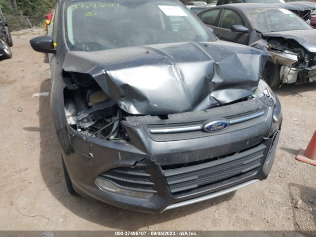 Ford ESCAPE SE 2016 1FMCU9G99GUA33121 Image 6