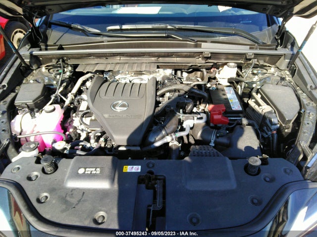 2024 Lexus NX, VIN: JTJGGCEZ4R5006254