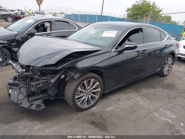 58ADA1C15MU006081 Lexus Es Es 300h