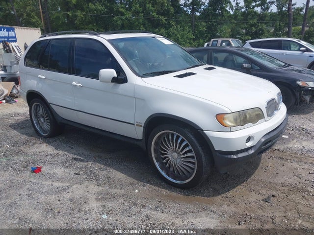 2002 BMW X5 4.4I VIN: 5UXFB33532LH30405
