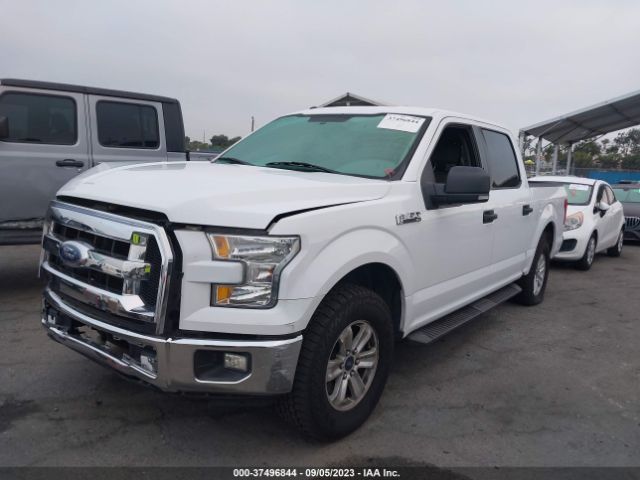 1FTEW1C82FKD13155 Ford F-150 Xlt/xl