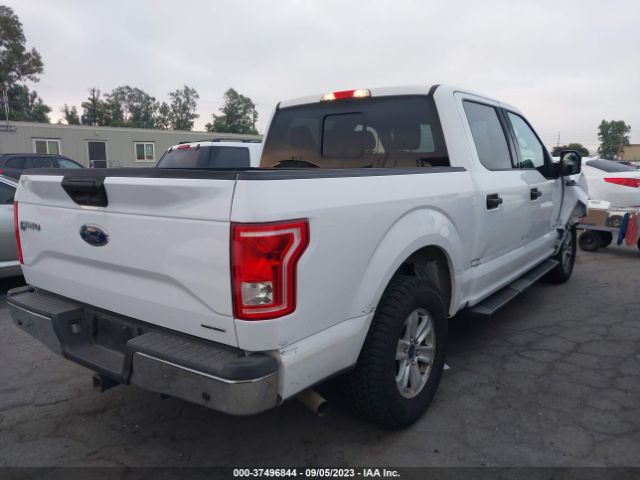 1FTEW1C82FKD13155 Ford F-150 Xlt/xl