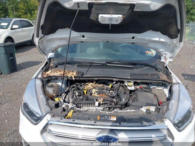 2019 FORD ESCAPE SE VIN: 1FMCU0GD4KUB32437