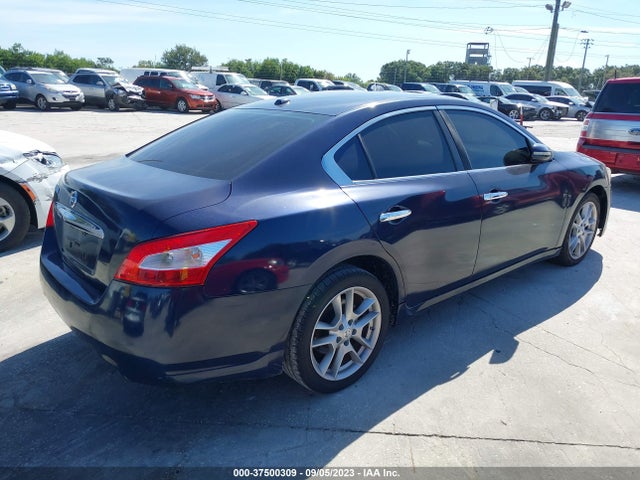 2010 NISSAN MAXIMA 3.5 SV VIN: 1N4AA5AP7AC834931