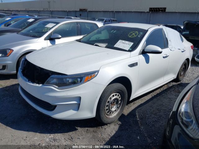5XXGT4L37HG142603 KIA Optima Lx