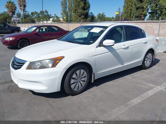 2011 HONDA ACCORD SDN LX VIN: 1HGCP2F30BA142773