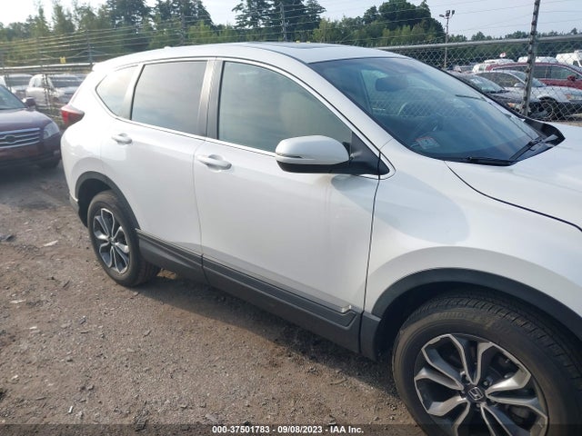 Honda Cr-v Ex-l 2021 5J6RW2H81ML019697 Image 13