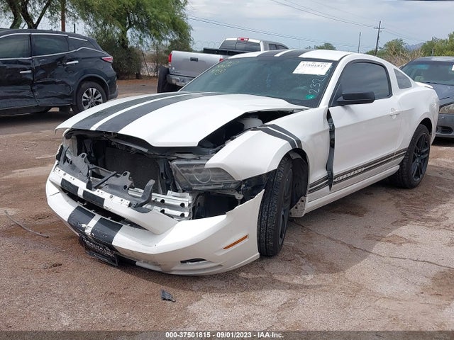 2013 FORD MUSTANG V6 VIN: 1ZVBP8AM6D5232032